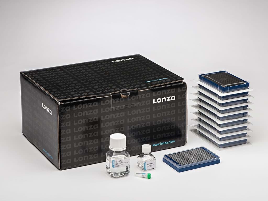 Picture of SE Cell Line 384-well-Nucleofector Kit (10 PT)