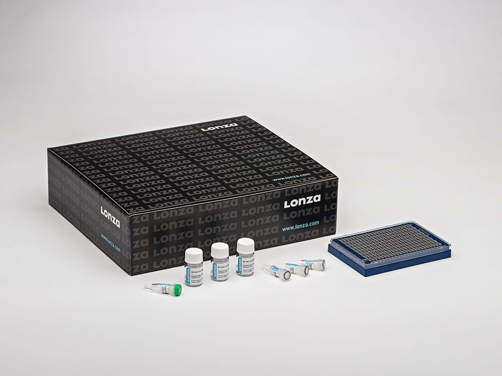 Picture of Cell Line Optimization 384-well-Nucleofector Kit
