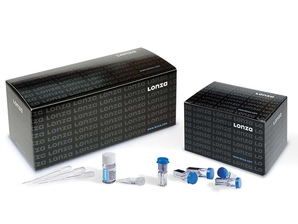 Picture of Human Dermal Fibroblast Nucleofector Kit, 25 reactions