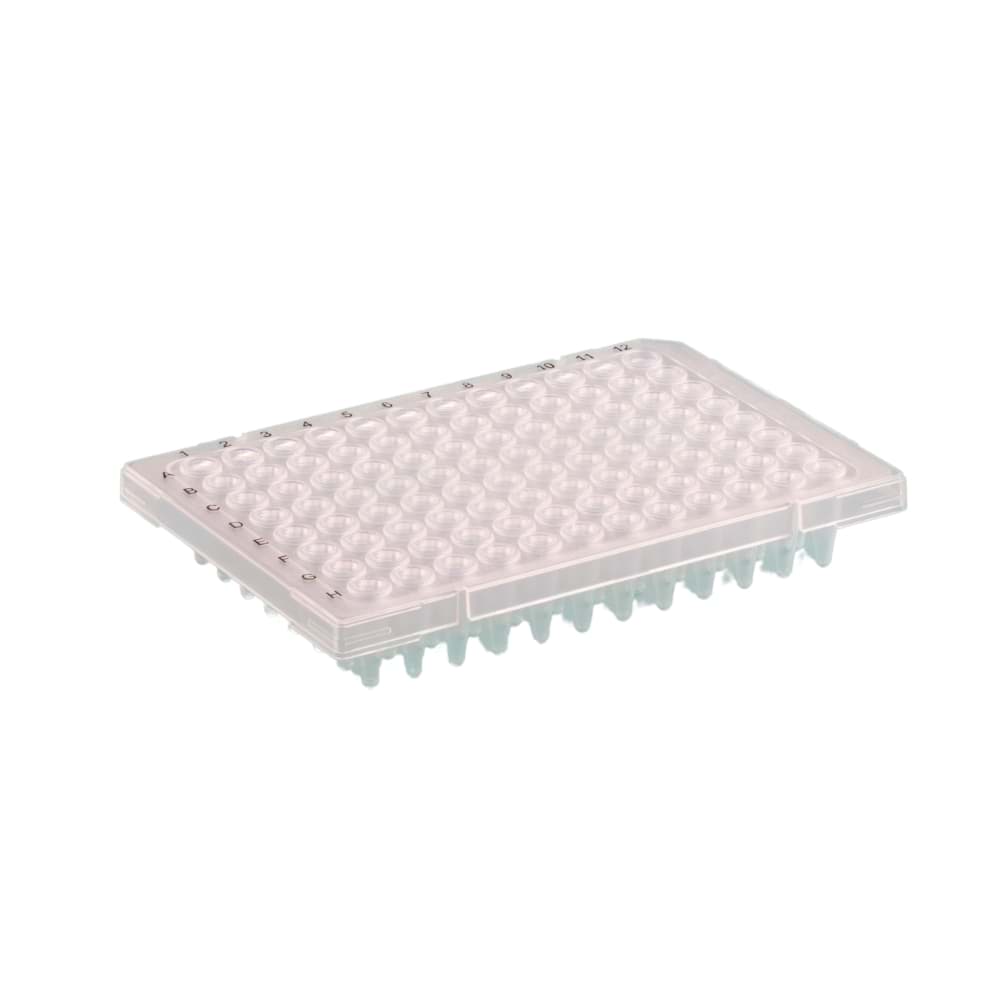 Picture of Amplistar RECYCLED Rigid Frame 96-Well PCR Plate, Semi-Skirted, Roche Style, H12 notch, White Wells, Clear Frame (50)