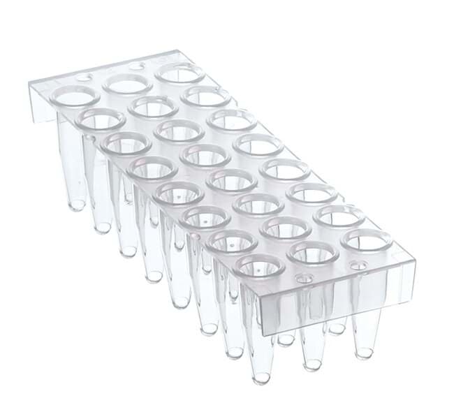Picture of Thermo-Fast 96 Non-Sk.LowProfile Plate (25) Green
