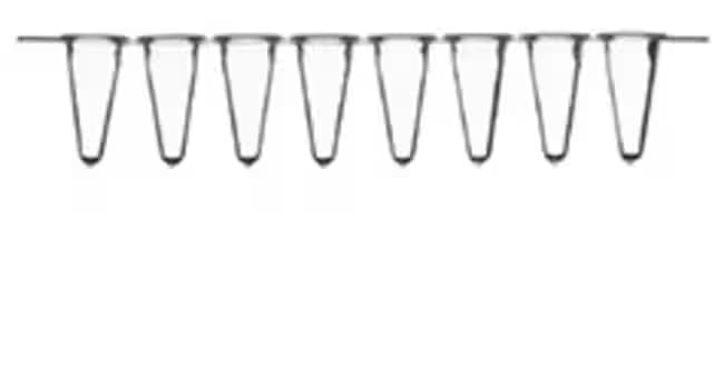 Picture of Strips of 8 Low Profile Tubes (120) in White