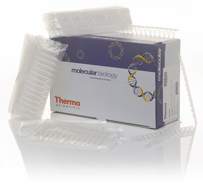 Picture of Thermo-Fast 96 Semi Skirted PCR Plate (25) Green