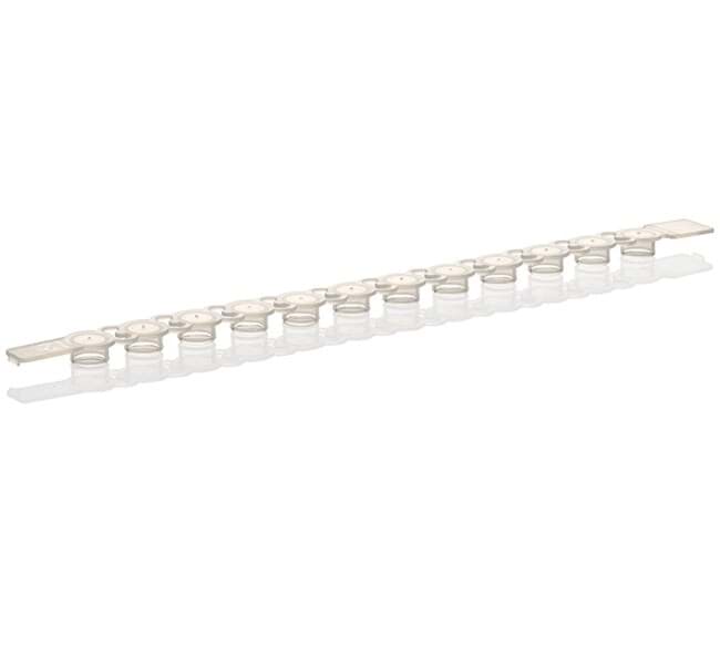 Picture of Thermo-Fast 96 Semi Skirted PCR Plate (25) Red