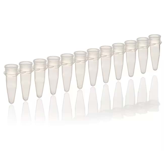Picture of ABsolute SYBR Green QPCR Mix + ROX 800 rxns