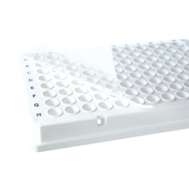 Picture of ThermoFast 384 PCR Plate 3730 in White (50)