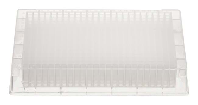 Picture of ThermoFast 384 PCR Plate 3730 Blue (50)