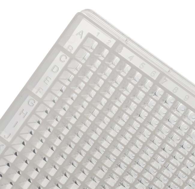 Picture of ThermoFast 384 PCR Plate 3730 Blue (50)