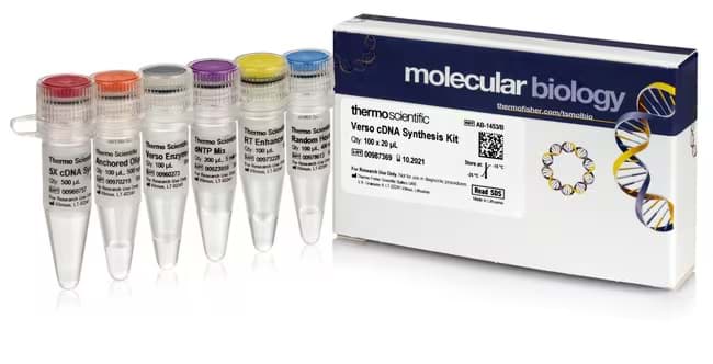 Picture of Verso First-Strand cDNA Kit 100 reactions