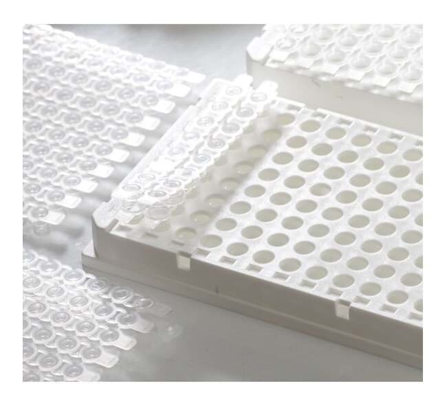 Picture of VersiFrame, 96-well Skirted - 25 plates