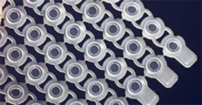 Picture of VersiCap Mat, qPCR Cap Strips - 25 mats
