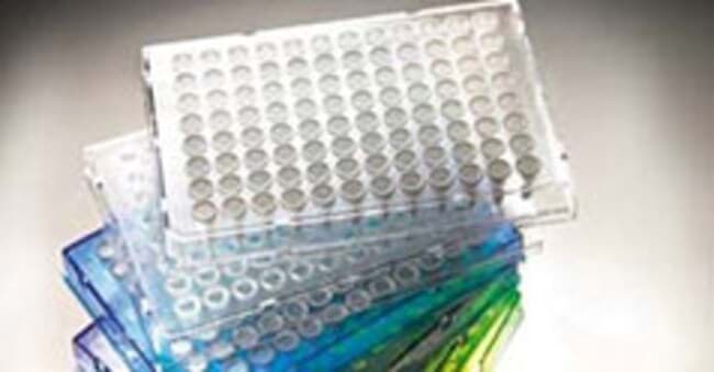 Picture of Armadillo 96-Well Plate, Orange Semi-Skirted, Low Profile, Clear Wells - 25 plates