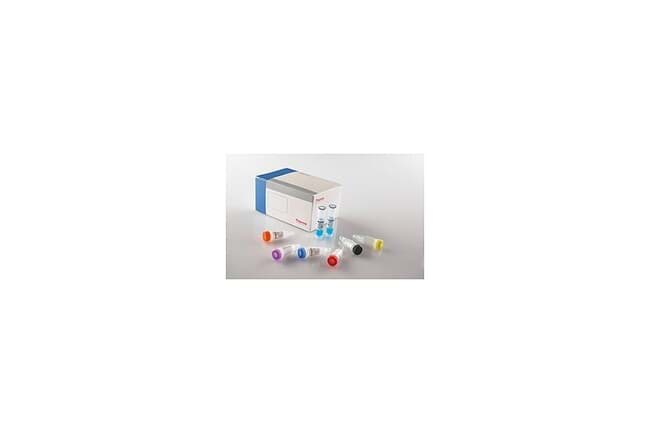Picture of Verso SYBR 1-Step QRT-PCR ROX Kit 400 rxns