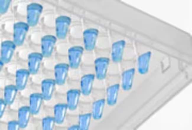 Picture of ABsolute Blue QPCR SYBR Green Low ROX, 16 x 1.25ml