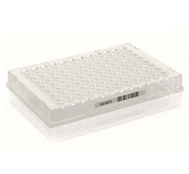 Picture of Armadillo 96-Well PCR Plate, Clear Frame, Clear Wells, Barcode - 25 Plates