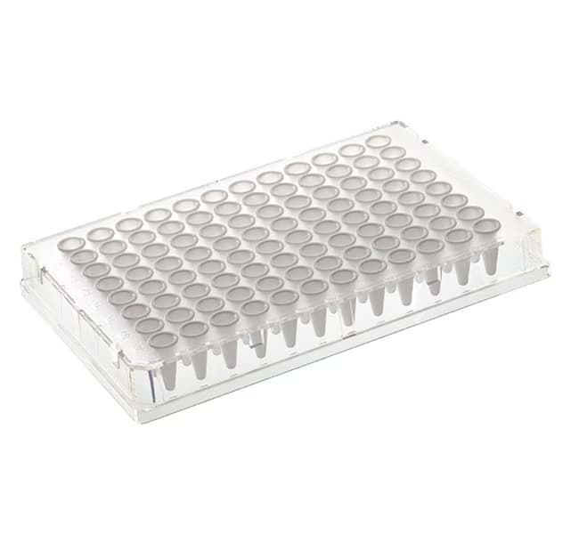 Picture of Armadillo 96-Well PCR Plate, Yellow Frame, Clear Wells, Barcode - 25 Plates