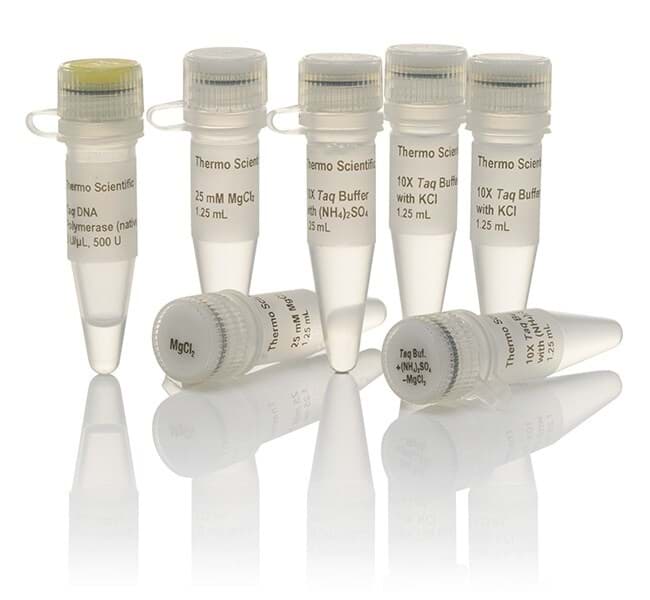 Picture of Taq DNA Polymerase (native, without BSA) - 500 U