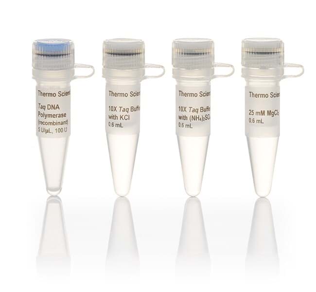 Picture of Taq DNA Polymerase (recombinant) - 100 U