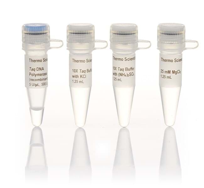 Picture of Taq DNA Polymerase (recombinant) - 500 U