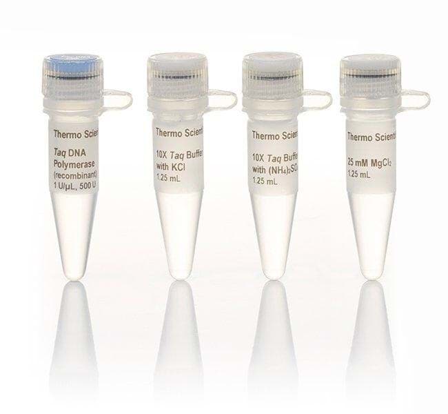 Picture of Taq DNA Polymerase (recombinant), Low Concentration - 500 U