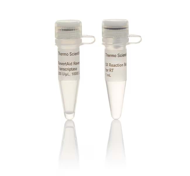 Picture of RevertAid Reverse Transcriptase - 10,000 U