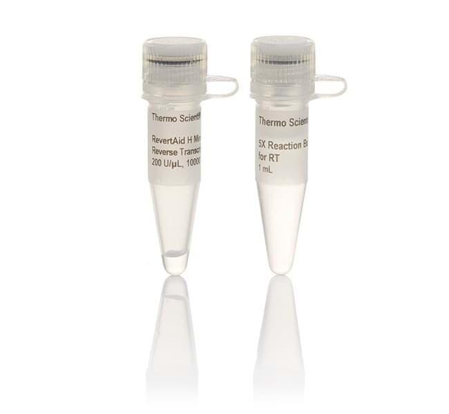 Picture of RevertAid H Minus Reverse Transcriptase - 10,000 U
