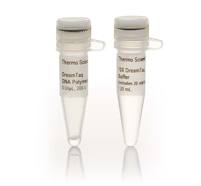 Picture of DreamTaq DNA Polymerase - 200 U