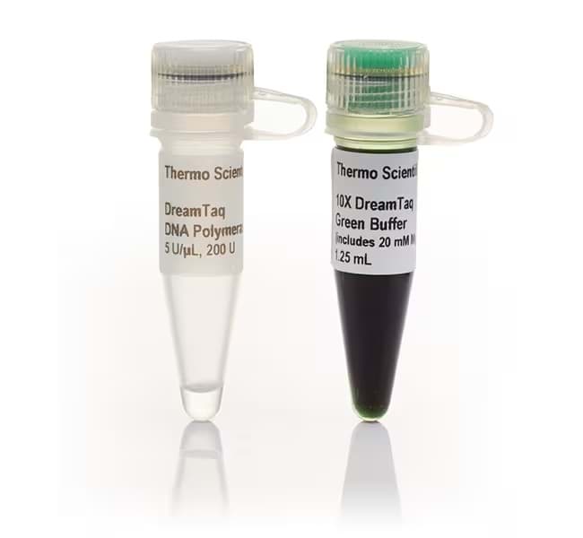 Picture of DreamTaq Green DNA Polymerase - 200 U