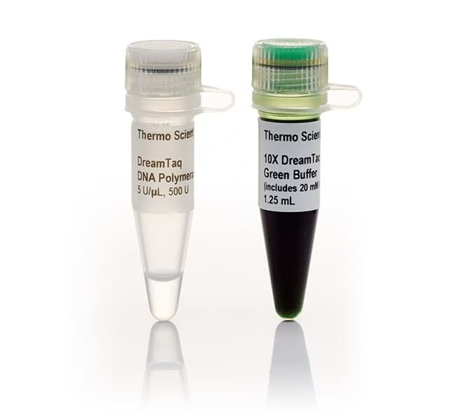 Picture of DreamTaq Green DNA Polymerase - 500 U