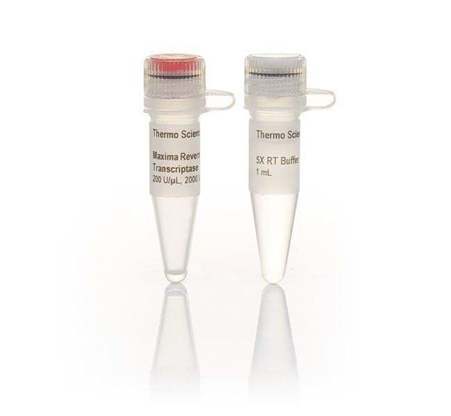 Picture of Maxima Reverse Transcriptase - 2,000 U