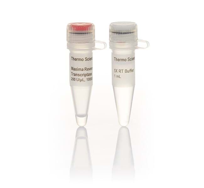 Picture of Phusion High-Fidelity PCR Kit - 50 x 50 µL rxns