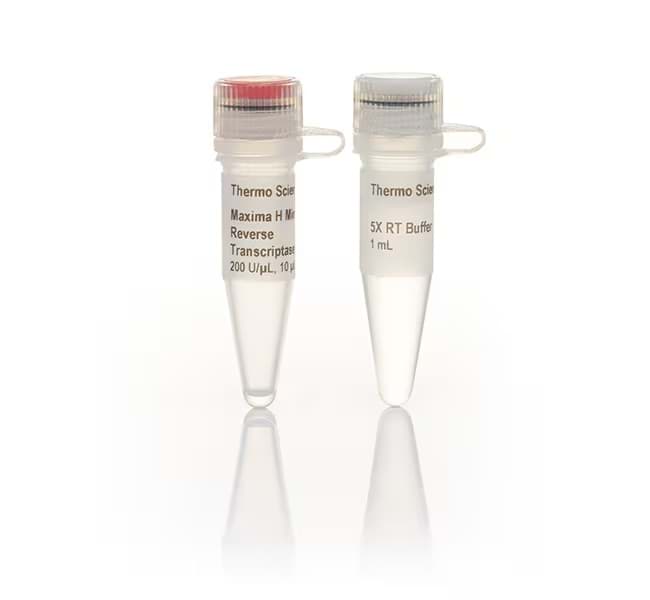 Picture of Maxima H Minus Reverse Transcriptase - 2,000 U