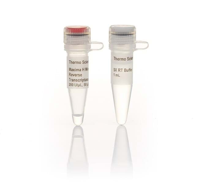 Picture of Maxima H Minus Reverse Transcriptase - 10,000 U