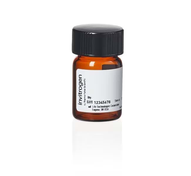 Picture of Phusion Human Specimen Direct PCR Kit - 200 x 20 µL rxns