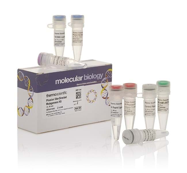 Picture of Luminaris Color HiGreen qPCR Master Mix - 250 x 20 µL rxns