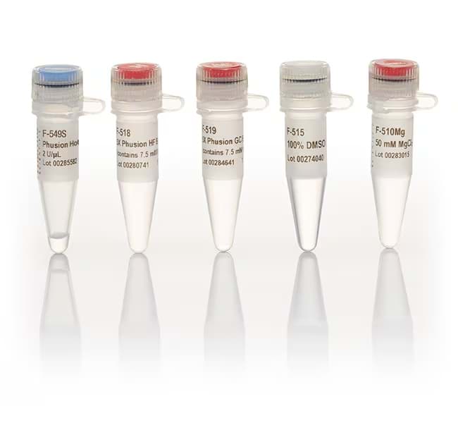 Picture of Luminaris Probe High ROX qPCR Master Mix - 1,250 x 20 µL rxns
