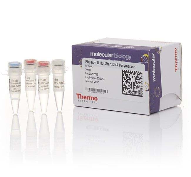 Picture of Luminaris Probe Low ROX qPCR Master Mix - 500 x 20 µL rxns