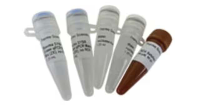 Picture of Maxima SYBR Green qPCR Master Mix, ROX Solution provided - 1,000 x 25 µL rxns