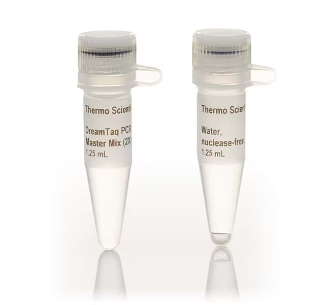 Picture of DreamTaq PCR Master Mix (2X) - 200 x 50 µL rxns