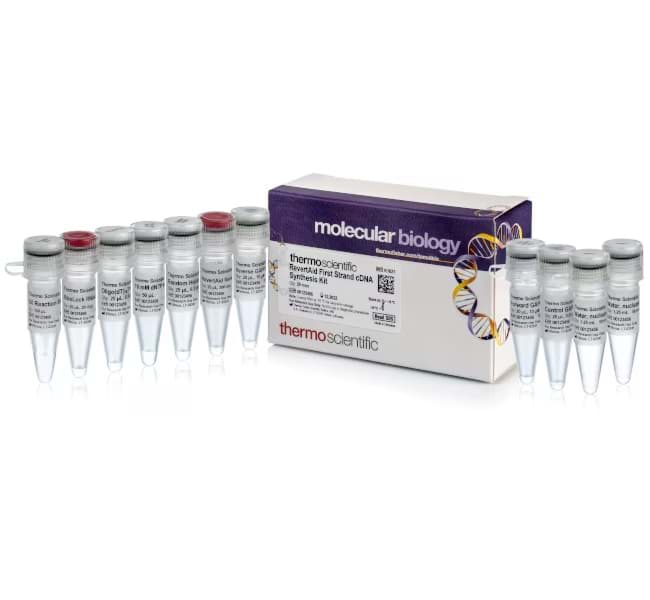 Picture of RevertAid First Strand cDNA Synthesis Kit - 20 x 20 µL rxns