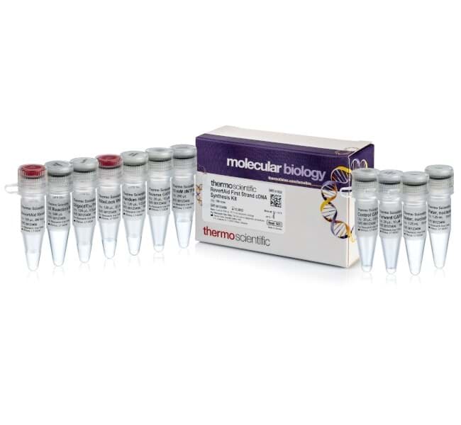 Picture of RevertAid First Strand cDNA Synthesis Kit - 100 x 20 µL rxns