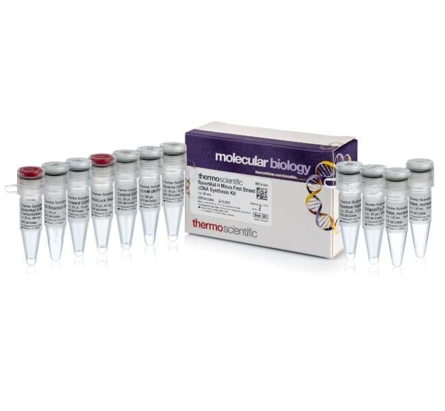 Picture of RevertAid H Minus First Strand cDNA Synthesis Kit - 20 x 20 µL rxns