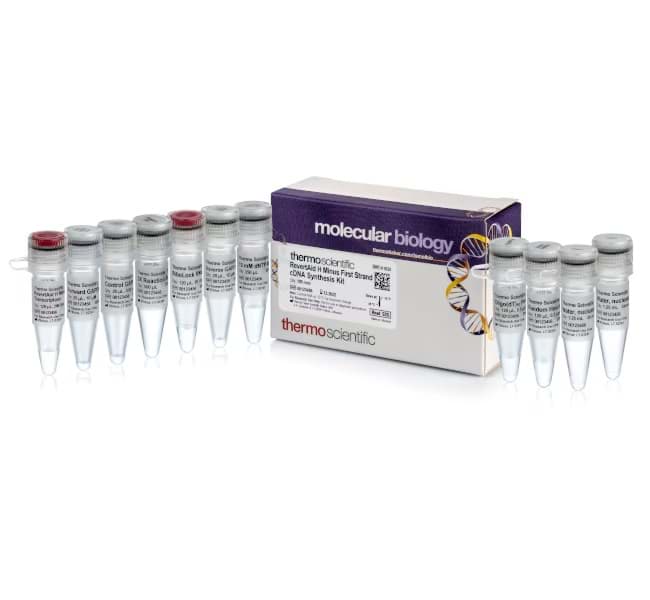 Picture of RevertAid H Minus First Strand cDNA Synthesis Kit - 100 x 20 µL rxns