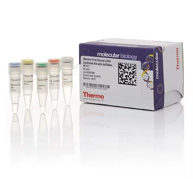 Picture of Maxima cDNA Kit with dsDNase - 50 rxn kit