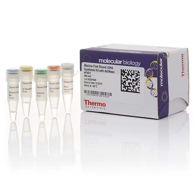 Picture of Maxima cDNA Kit with dsDNase - 200 rxn kit