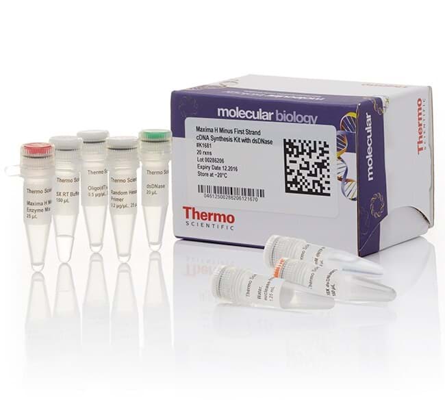 Picture of Maxima H Minus Kit w/ dsDNase - 20 rxn kit