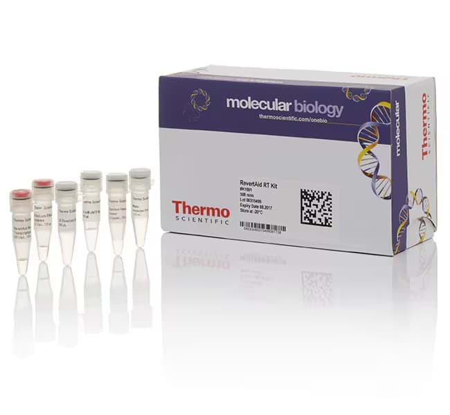 Picture of RevertAid RT Kit - 500 rxn kit