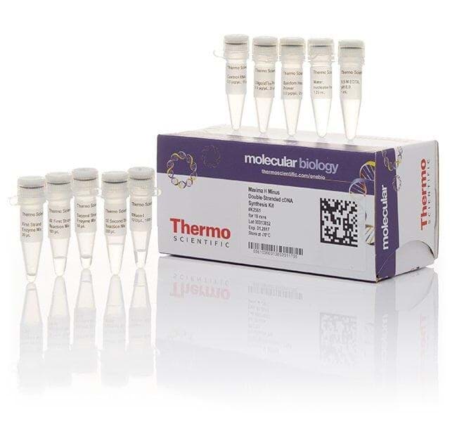 Picture of Maxima H Minus Double-Stranded cDNA Synthesis Kit - 10 rxns