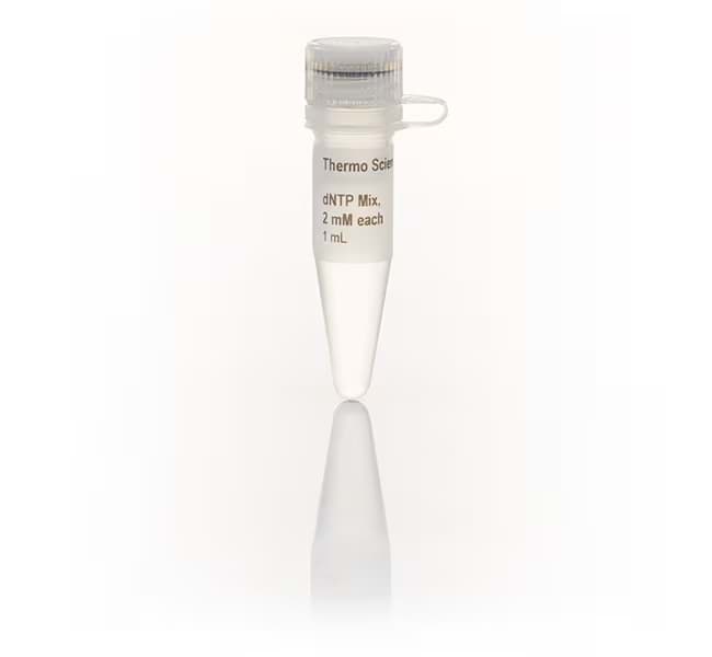 Picture of dNTP Mix 2 mM each - 1 mL