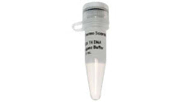 Picture of 25mM MgCl2 - 4 x 1.25 mL